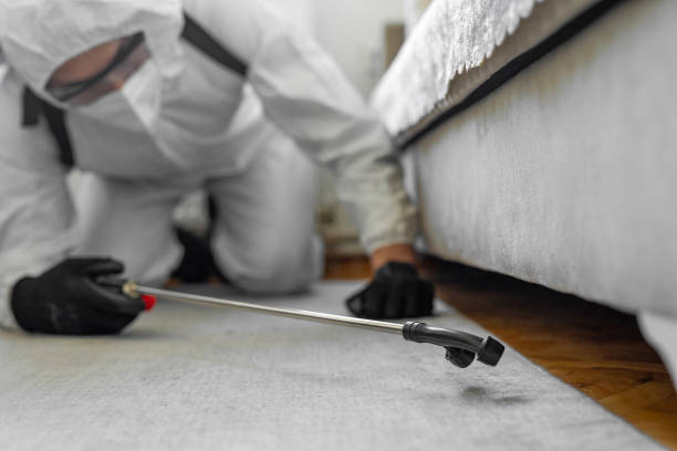 Professional Bed Bug Control technician working in Chester County County, SC